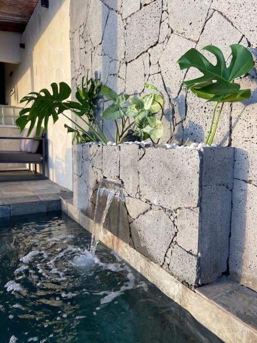Cocoon Love Avec Piscine Privative Saint-Louis Eksteriør bilde
